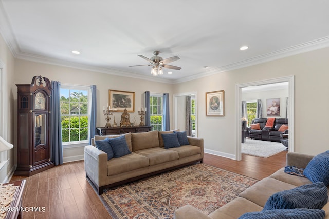 living room with crown molding, dark hardwood / wood-style floors, and ceiling fan