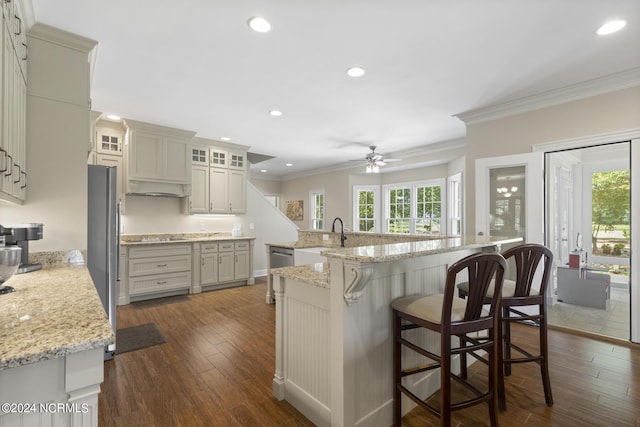 kitchen featuring a wealth of natural light, dark wood-style flooring, crown molding, and ceiling fan