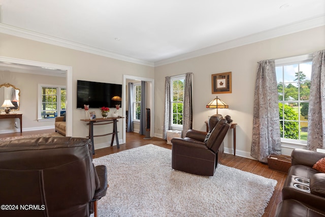 living room with hardwood / wood-style flooring and ornamental molding