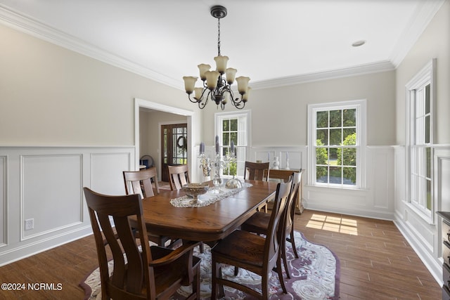 dining room featuring dark wood-style flooring, a chandelier, a wainscoted wall, a wealth of natural light, and a decorative wall