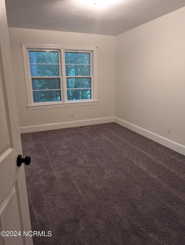 empty room featuring carpet and a healthy amount of sunlight