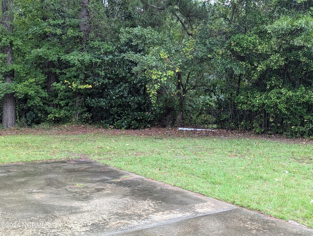 view of yard featuring a patio area