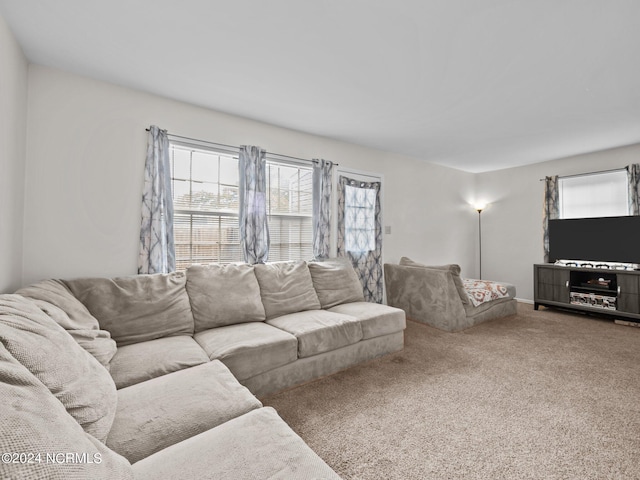 living room featuring a wealth of natural light and carpet flooring