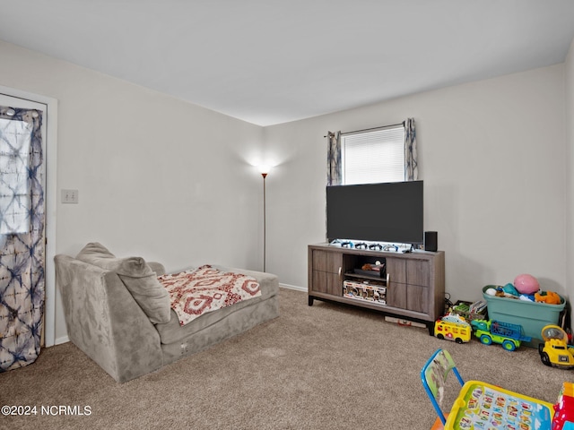 living room with carpet flooring