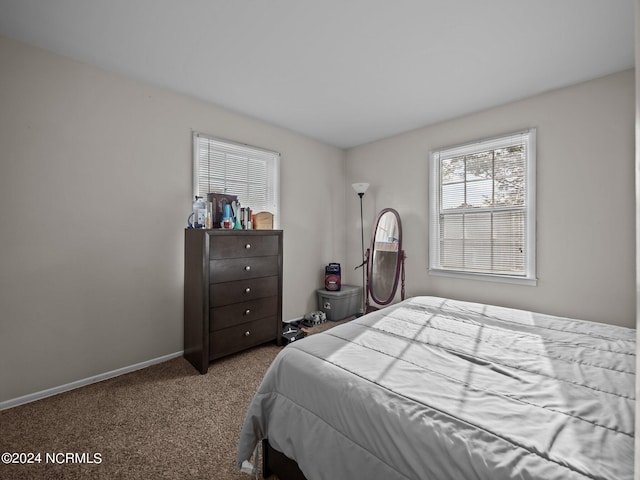 view of carpeted bedroom