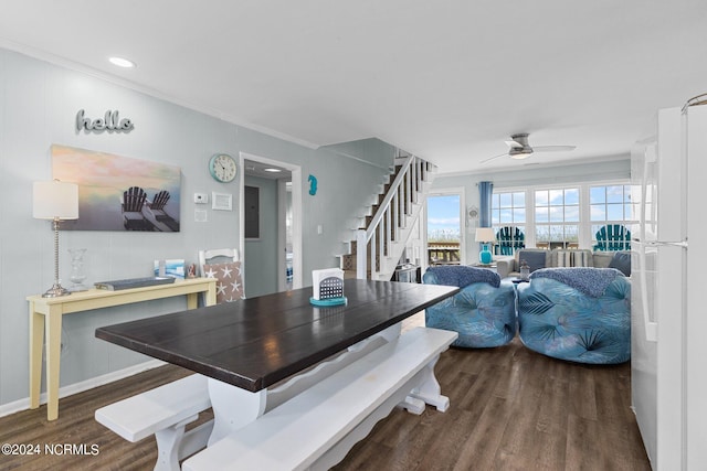 dining space featuring ceiling fan, ornamental molding, and dark hardwood / wood-style flooring