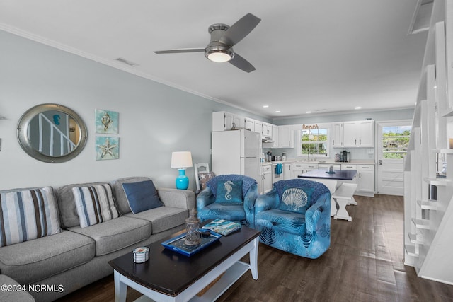 living room with ceiling fan, sink, crown molding, and dark wood-type flooring