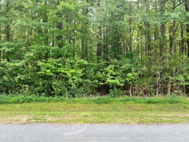 LOT19 Hills Pt Unit 19, Blounts Creek NC, 27814 land for sale