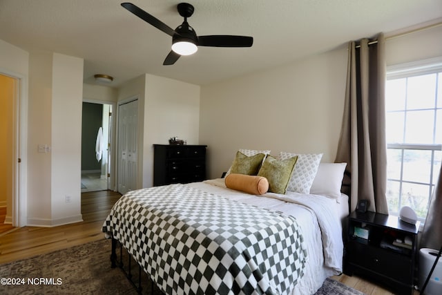 bedroom featuring multiple windows, ceiling fan, a closet, and hardwood / wood-style flooring