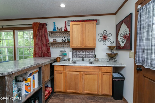 kitchen featuring backsplash, a textured ceiling, crown molding, and sink