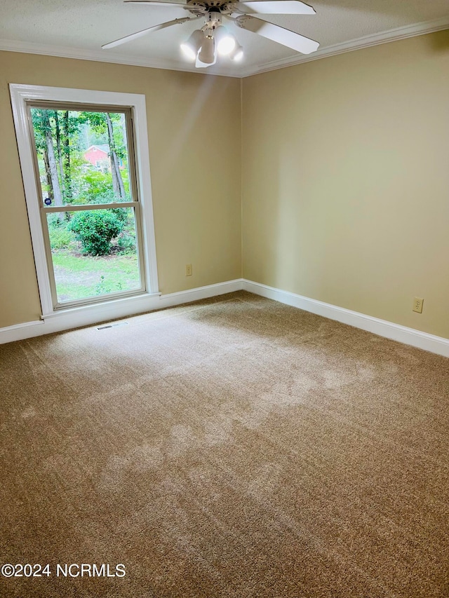 spare room featuring ceiling fan, carpet floors, and crown molding