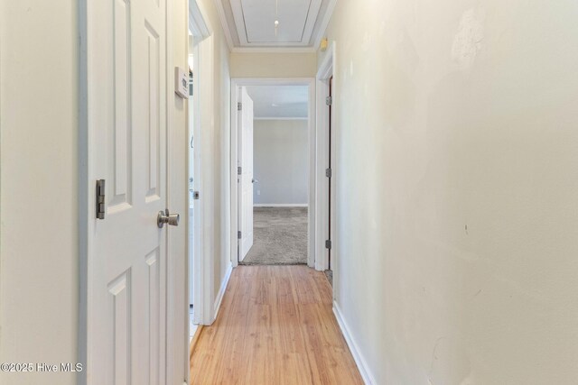 bedroom with ceiling fan, ornamental molding, a textured ceiling, and carpet floors