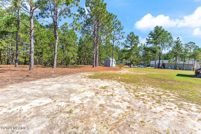 view of yard featuring a storage unit