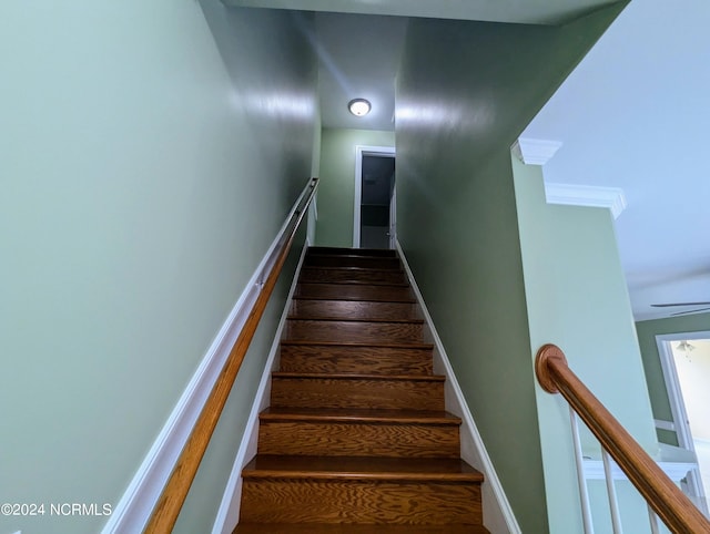 staircase featuring wood-type flooring