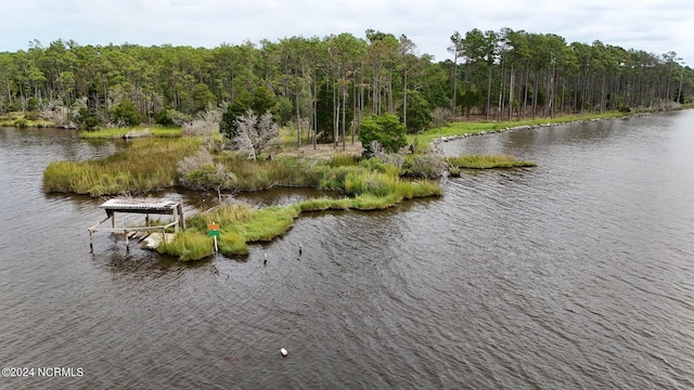 3572 Upper Neck Rd, Bayboro NC, 28515 land for sale