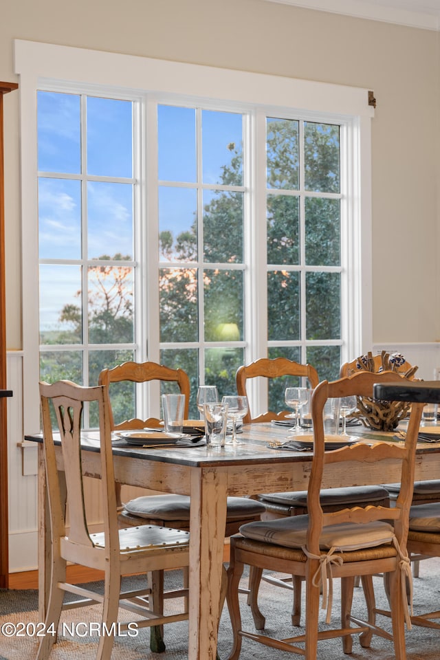 dining room with carpet flooring and a wealth of natural light