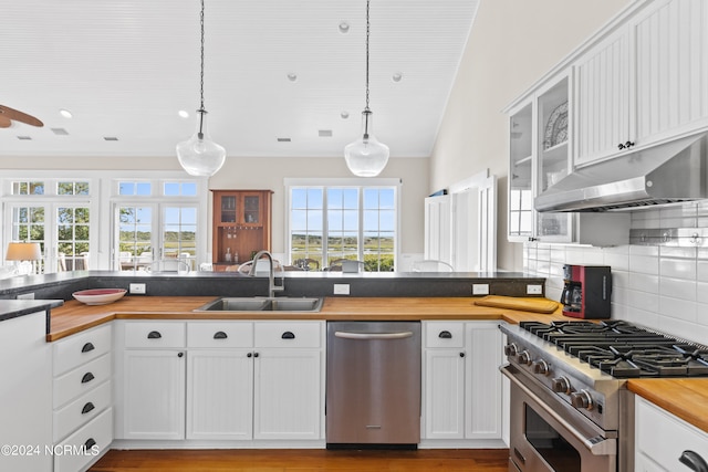 kitchen featuring pendant lighting, stainless steel appliances, and a wealth of natural light