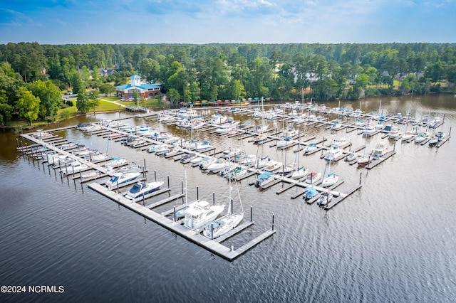 drone / aerial view featuring a water view and a view of trees