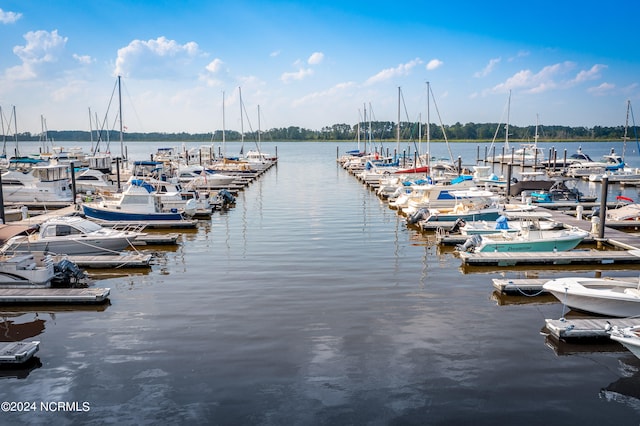 dock area featuring a water view