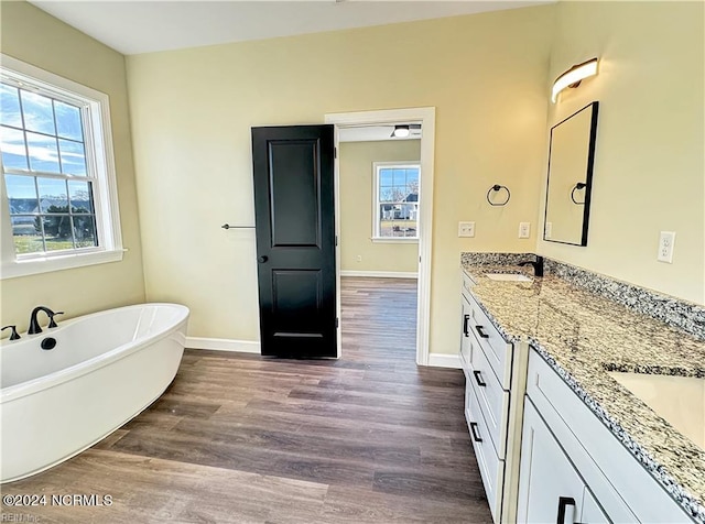 bathroom with wood-type flooring, vanity, and a bath