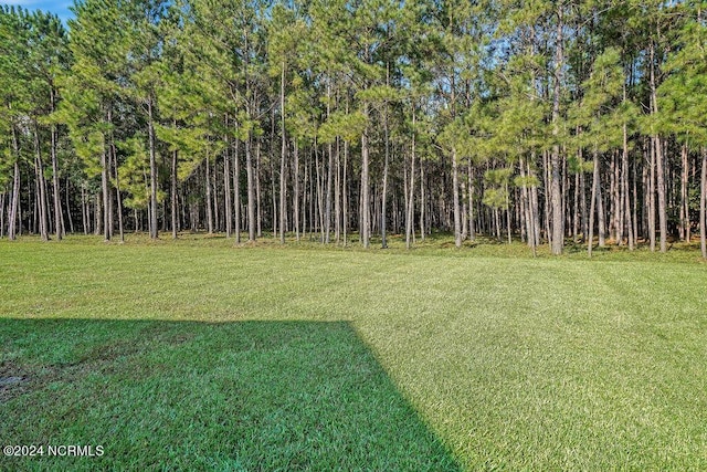 79 Bishop Branch Ln SE, Leland, NC 28451 - view of grassy yard