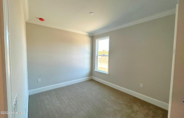 empty room featuring carpet floors and ornamental molding