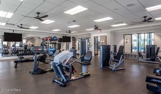 workout area featuring a drop ceiling, ceiling fan, and a healthy amount of sunlight