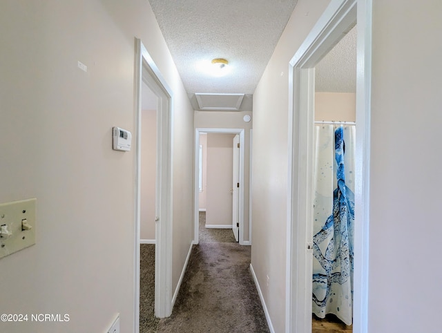 corridor featuring carpet floors and a textured ceiling