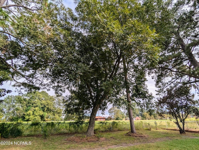 view of yard with a rural view