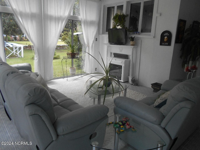 carpeted living room with plenty of natural light