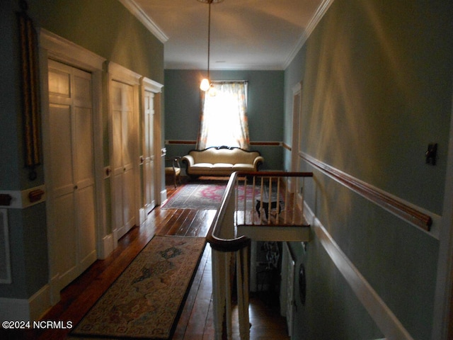 corridor with crown molding and dark hardwood / wood-style flooring