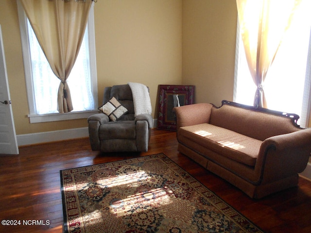 living room featuring dark hardwood / wood-style floors