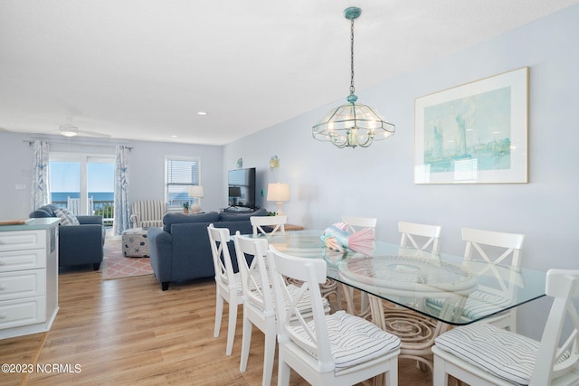 dining room featuring ceiling fan with notable chandelier and light hardwood / wood-style flooring