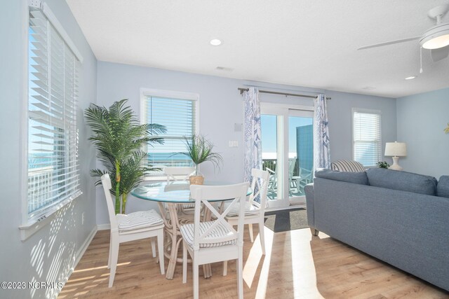 dining area with light hardwood / wood-style floors, plenty of natural light, and ceiling fan