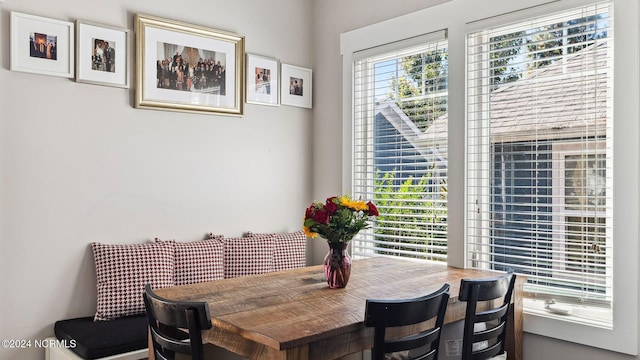 view of dining space