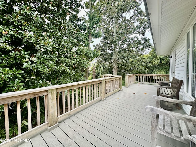 207 W Eden St, Edenton, NC 27932 - view of deck