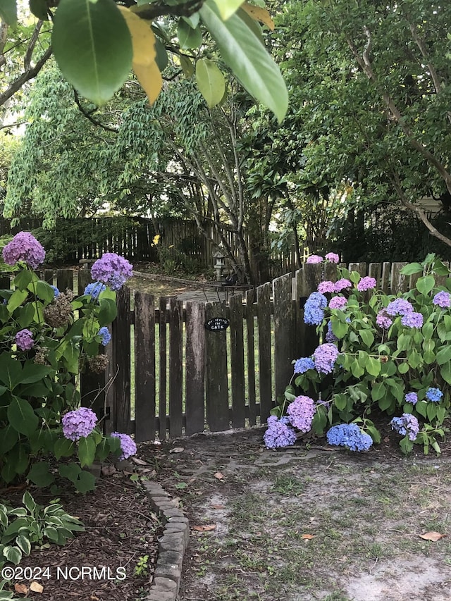 207 W Eden St, Edenton, NC 27932 - exterior view