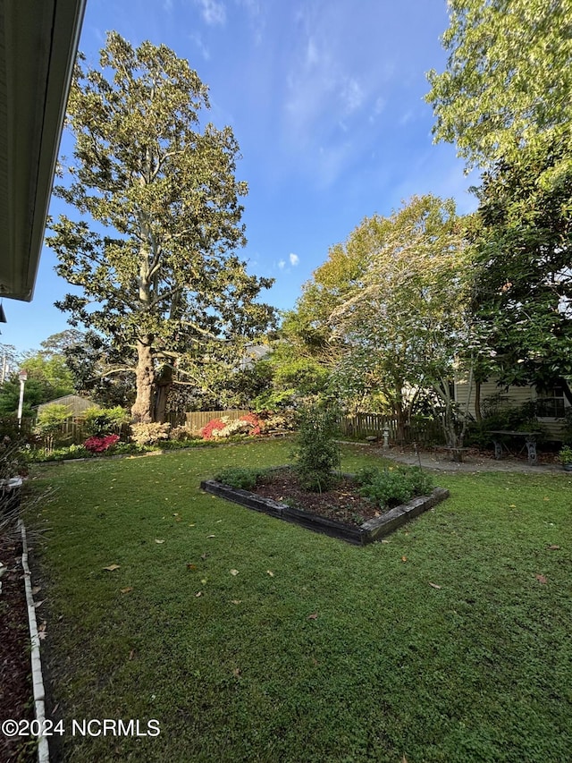 207 W Eden St, Edenton, NC 27932 - view of yard