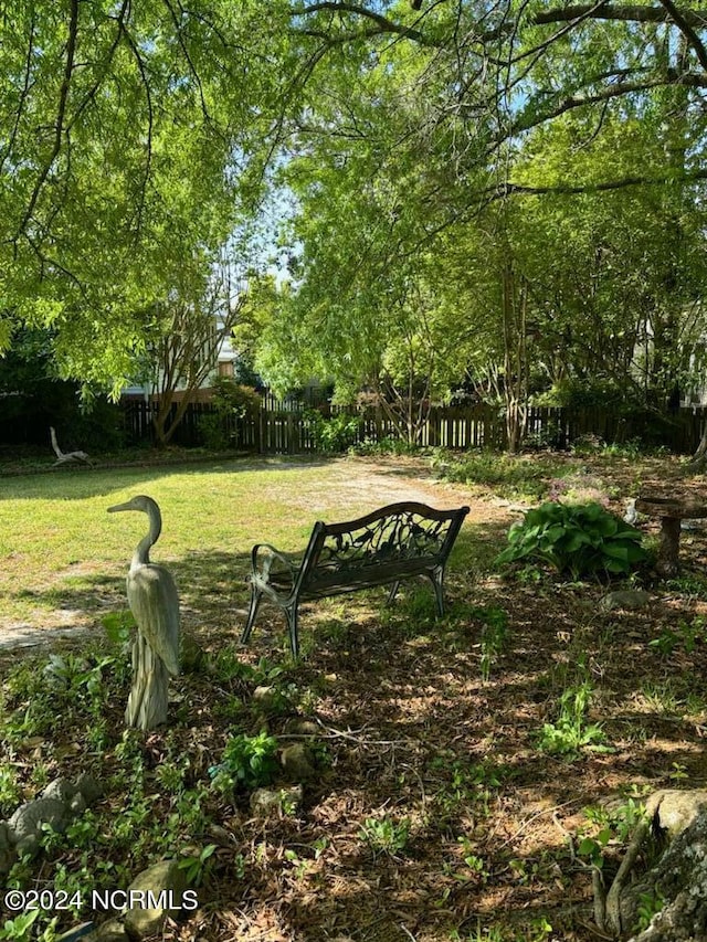 207 W Eden St, Edenton, NC 27932 - view of yard