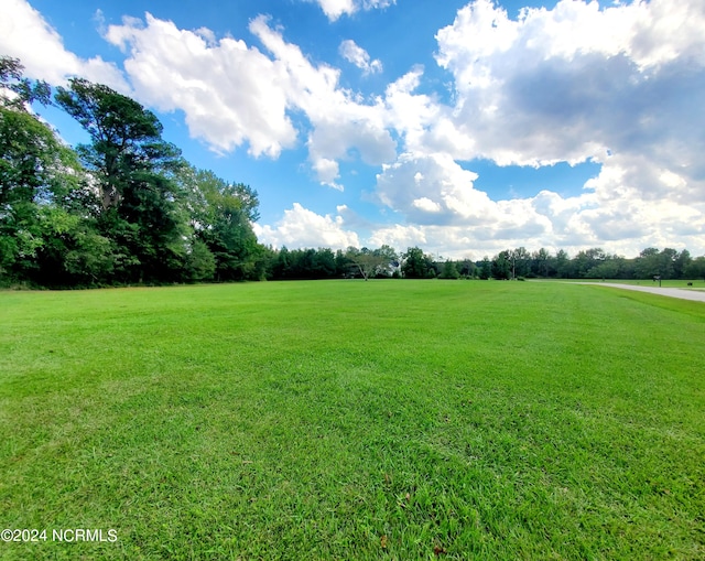 48 Lee St, Bladenboro NC, 28320 land for sale