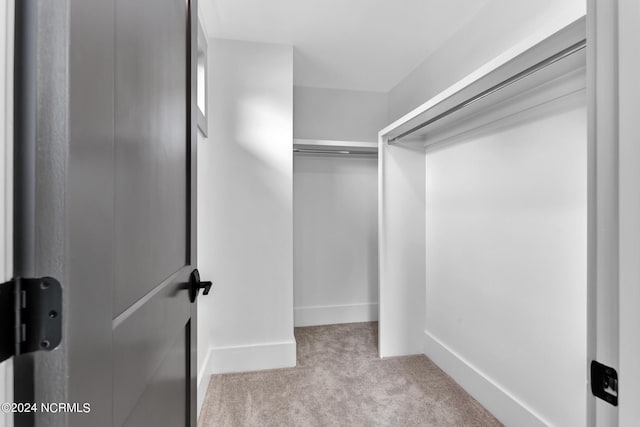 walk in closet featuring light colored carpet