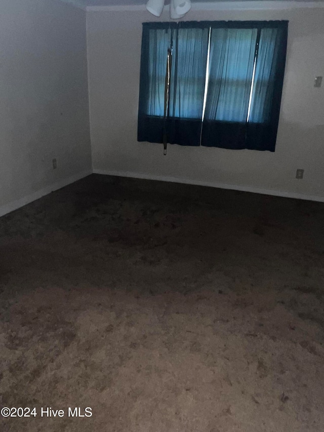 unfurnished room featuring carpet