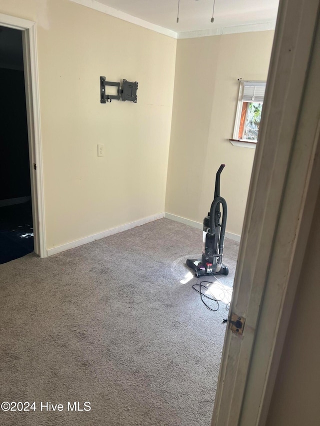 misc room with carpet and crown molding