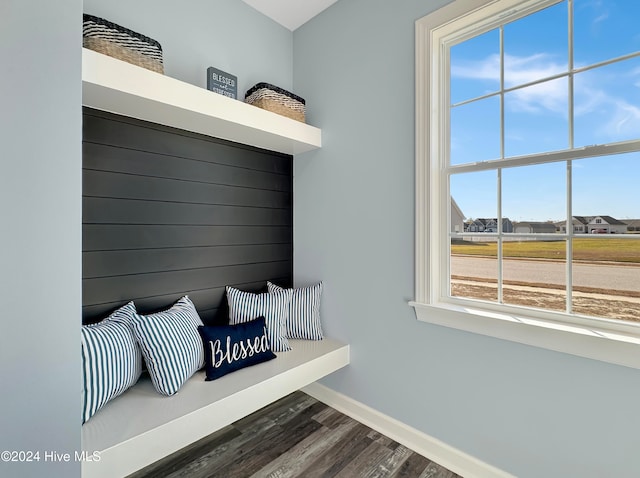 mudroom with dark wood-type flooring