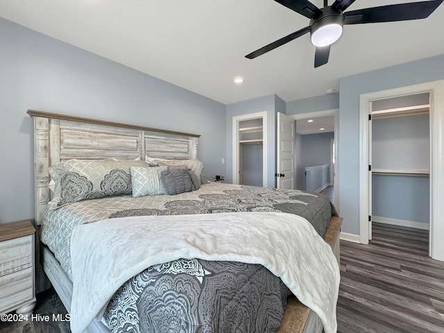 bedroom featuring ceiling fan, a walk in closet, dark wood-type flooring, and a closet