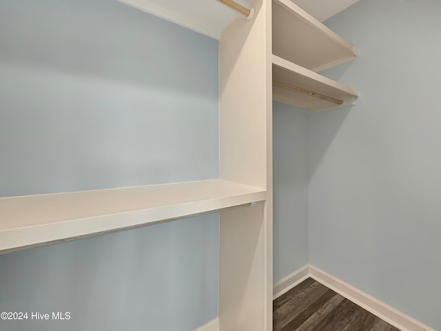 spacious closet with dark hardwood / wood-style flooring