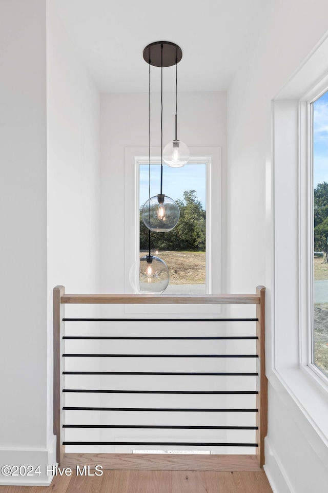 room details with hardwood / wood-style floors and radiator