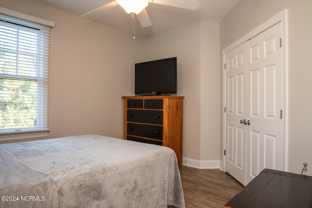 bedroom with a closet, dark hardwood / wood-style floors, multiple windows, and ceiling fan