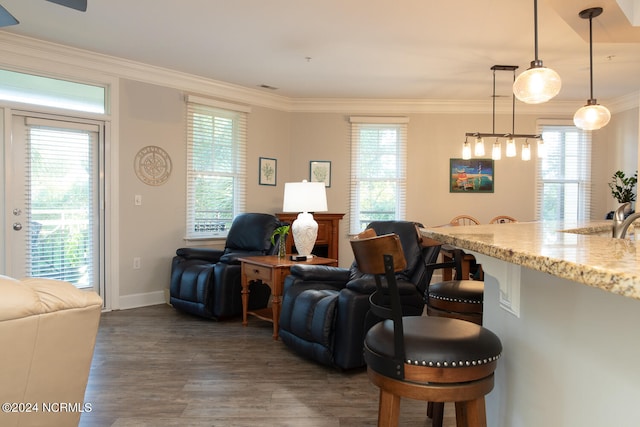 living room with ornamental molding, dark hardwood / wood-style flooring, and a wealth of natural light