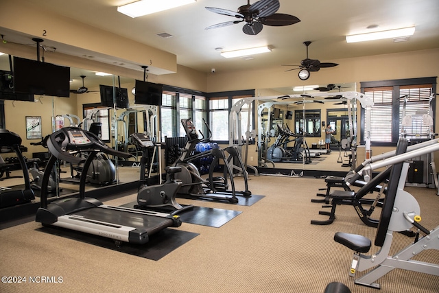 exercise room with carpet flooring and ceiling fan